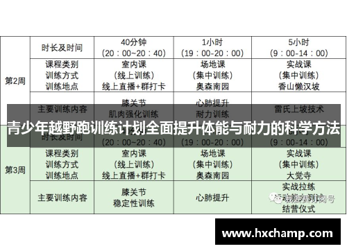 青少年越野跑训练计划全面提升体能与耐力的科学方法